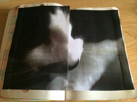 Ici une photo imprimée et coupée en deux puis collée de chaque côté sert d'ouverture de la page.